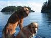 Zeke and Daisy in skiff